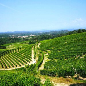 Vigneti Gattinara Vigneti Gattinara