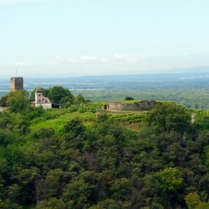 Vigneti Gattinara Vigneti Gattinara