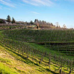 Vigneti Bramaterra Vigneti Bramaterra