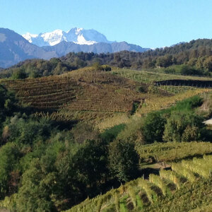 Vigneti Gattinara Vigneti Gattinara